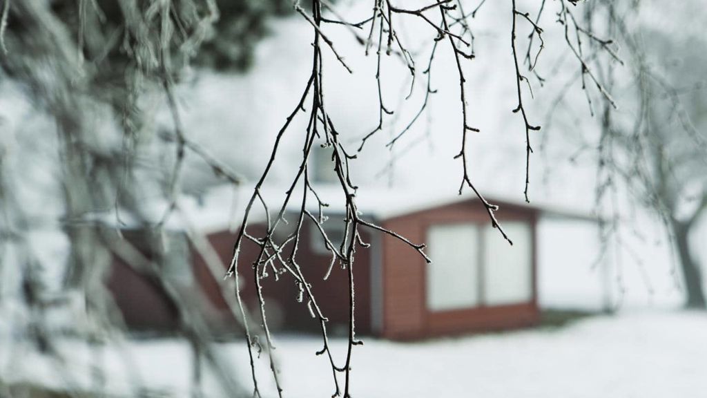 Tryg vinter træ