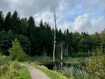 Benedicte Holmbo Kjølby fortæller, hvad hun brugte sin orlov fra Danske Bank til