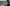 to mennesker sidder og smiler ved deres computere