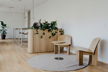 To stole på et gulvtæppe foran planteopsats