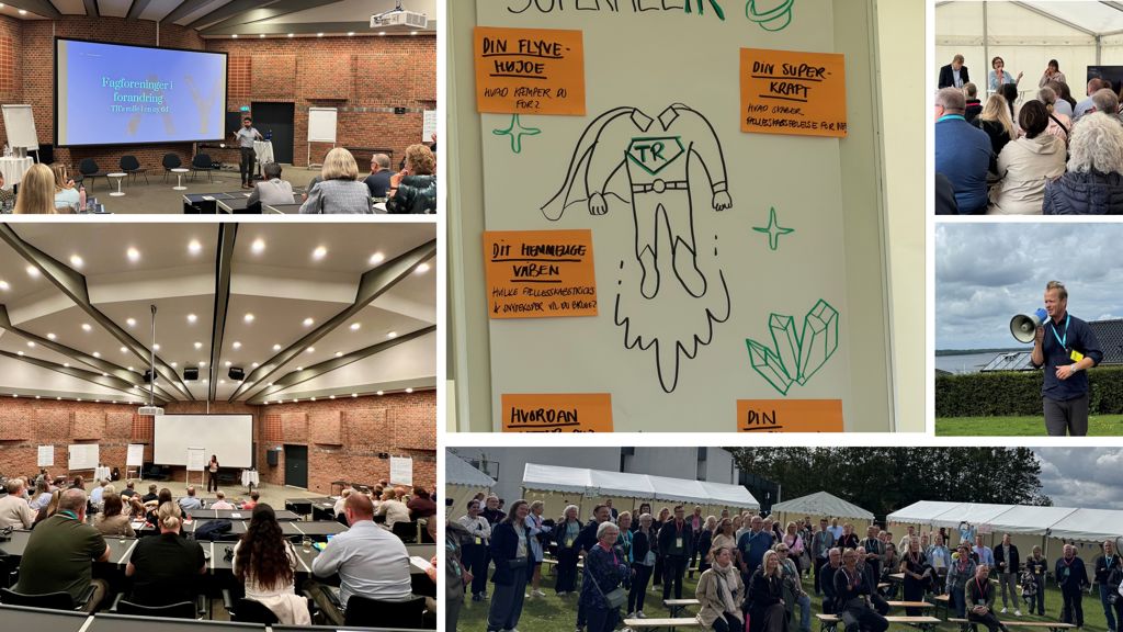 Seminar for tillidsvalgte 2026
