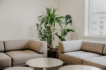 Sofaer og planter i et hjørne af Finansforbundets nyrenoverede hus.
