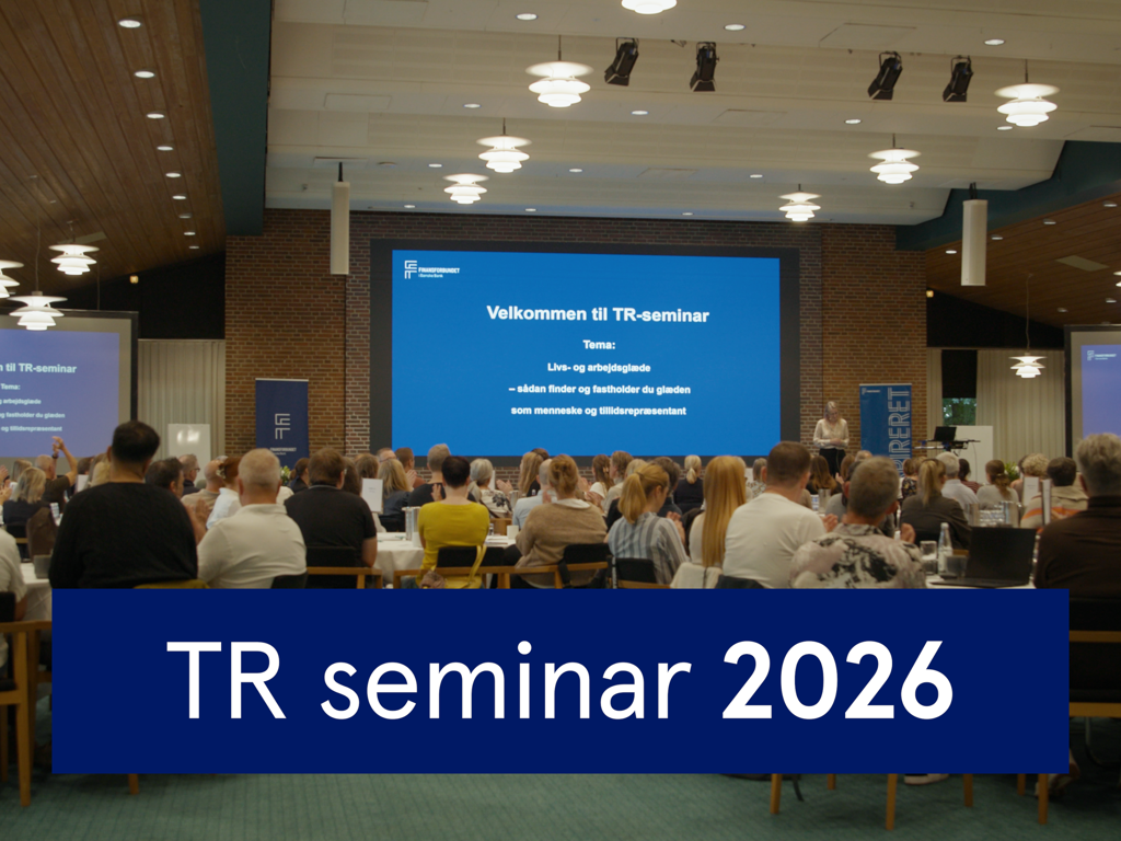Thumbnail fra årets seminar i FiDB
