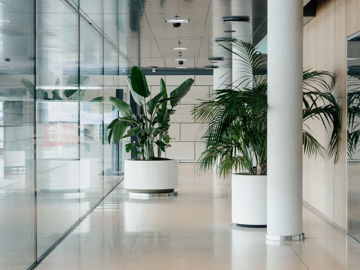 Gang med planter i Jyske Banks københavnske domicil