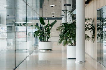 Gang med planter i Jyske Banks københavnske domicil