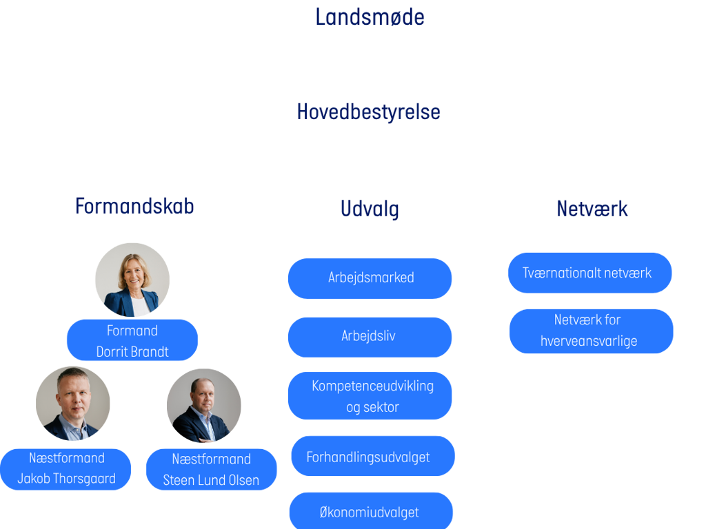 Billedet giver et overblik over den politiske struktur af Finansforbundet, hvor det tydeliggøres at Landsmødet er den højeste myndighed
