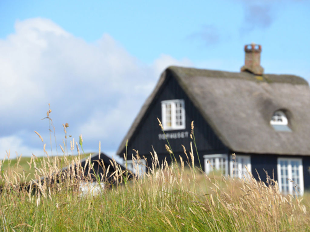 sommerhus i klitter