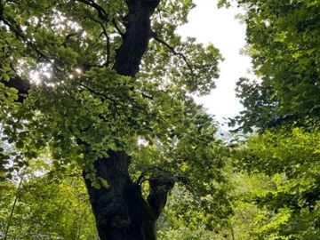 Benedicte Holmbo Kjølby fortæller, hvad hun brugte sin orlov fra Danske Bank til