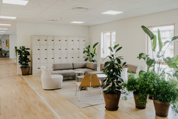 En sofagruppe i et åbent kontormiljø med flere grønne planter omkring