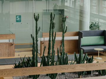 Planter i Jyske Banks københavnske domicil