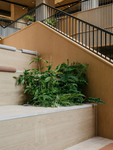 Plante på trappe i AL Huset